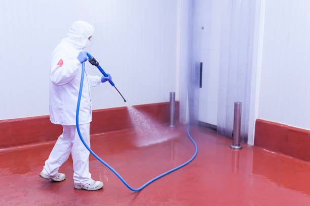 Best Post-Construction Pressure Washing  in Merton, WI