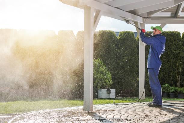 Best Building Exterior Washing  in Merton, WI